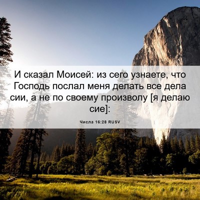 Picture 06 - Числа 16:28 RUSV - И сказал Моисей: из сего - Bible Verse Picture