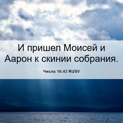 Picture 06 - Числа 16:43 RUSV - И пришел Моисей и Аарон к - Bible Verse Picture