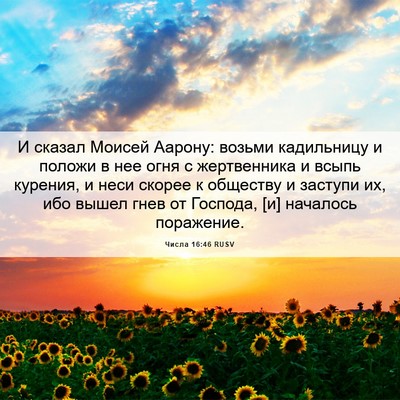 Picture 06 - Числа 16:46 RUSV - И сказал Моисей Аарону: - Bible Verse Picture