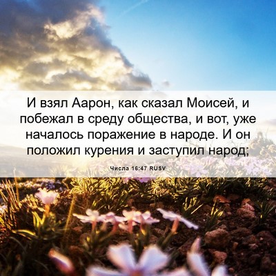 Picture 06 - Числа 16:47 RUSV - И взял Аарон, как сказал - Bible Verse Picture