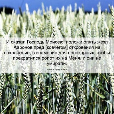 Picture 06 - Числа 17:10 RUSV - И сказал Господь Моисею: - Bible Verse Picture