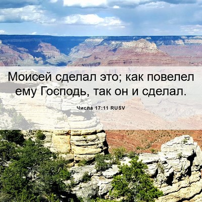 Picture 06 - Числа 17:11 RUSV - Моисей сделал это; как - Bible Verse Picture