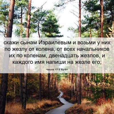 Picture 06 - Числа 17:2 RUSV - скажи сынам Израилевым и - Bible Verse Picture