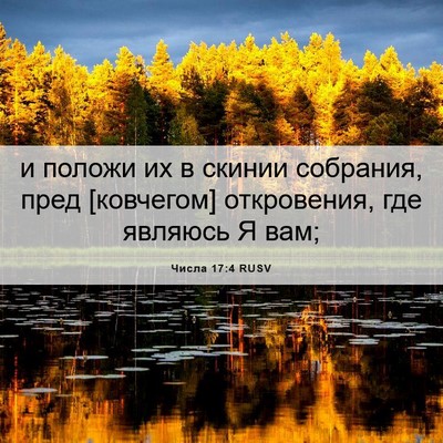 Picture 06 - Числа 17:4 RUSV - и положи их в скинии - Bible Verse Picture