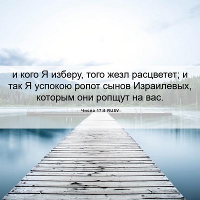 Picture 06 - Числа 17:5 RUSV - и кого Я изберу, того жезл - Bible Verse Picture