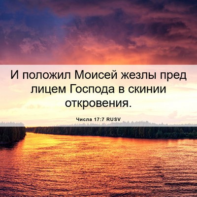 Picture 06 - Числа 17:7 RUSV - И положил Моисей жезлы - Bible Verse Picture