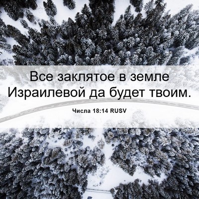 Picture 06 - Числа 18:14 RUSV - Все заклятое в земле - Bible Verse Picture