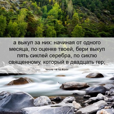 Picture 06 - Числа 18:16 RUSV - а выкуп за них: начиная от - Bible Verse Picture