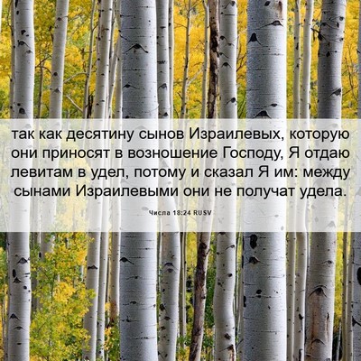 Picture 06 - Числа 18:24 RUSV - так как десятину сынов - Bible Verse Picture