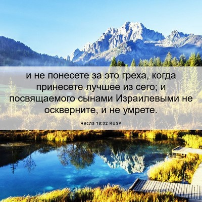 Picture 06 - Числа 18:32 RUSV - и не понесете за это греха, - Bible Verse Picture
