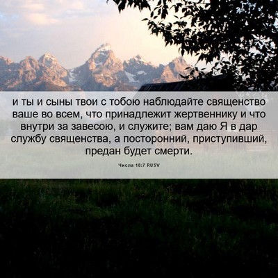 Picture 06 - Числа 18:7 RUSV - и ты и сыны твои с тобою - Bible Verse Picture