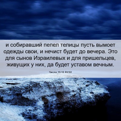 Picture 06 - Числа 19:10 RUSV - и собиравший пепел телицы - Bible Verse Picture