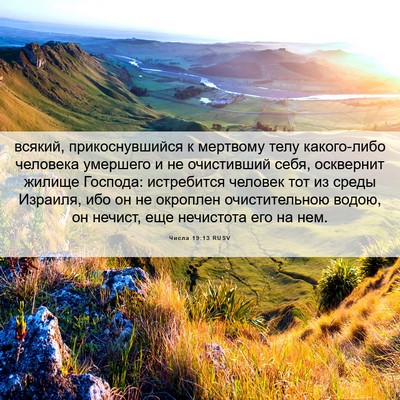 Picture 06 - Числа 19:13 RUSV - всякий, прикоснувшийся к - Bible Verse Picture