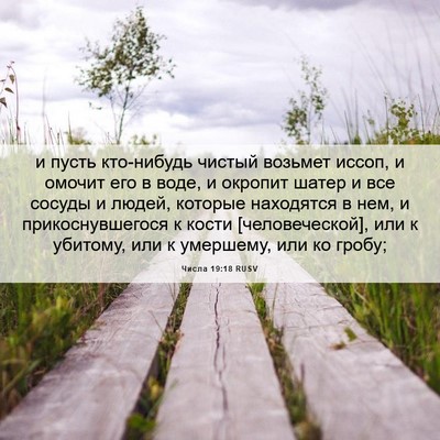 Picture 06 - Числа 19:18 RUSV - и пусть кто-нибудь чистый - Bible Verse Picture