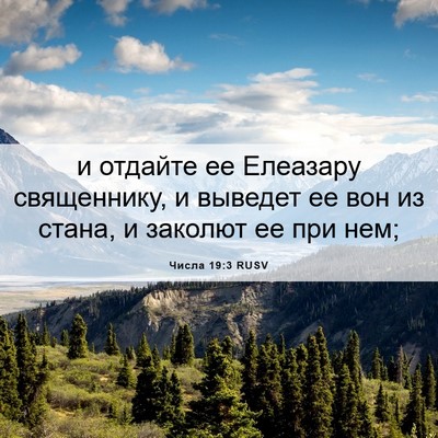 Picture 06 - Числа 19:3 RUSV - и отдайте ее Елеазару - Bible Verse Picture