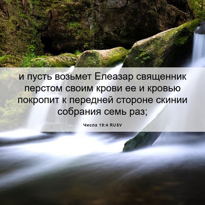 Picture 06 - Числа 19:4 RUSV - и пусть возьмет Елеазар - Bible Verse Picture