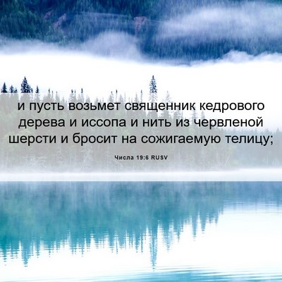 Picture 06 - Числа 19:6 RUSV - и пусть возьмет священник - Bible Verse Picture