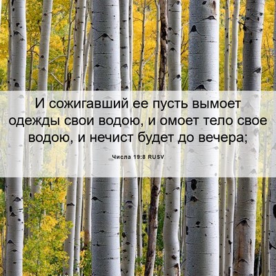Picture 06 - Числа 19:8 RUSV - И сожигавший ее пусть - Bible Verse Picture