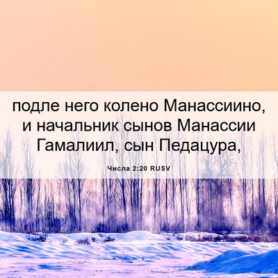 Picture 06 - Числа 2:20 RUSV - подле него колено - Bible Verse Picture