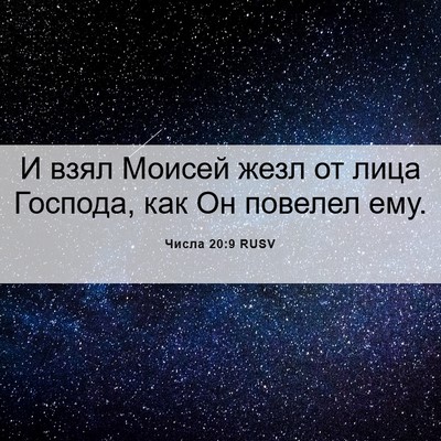 Picture 06 - Числа 20:9 RUSV - И взял Моисей жезл от лица - Bible Verse Picture