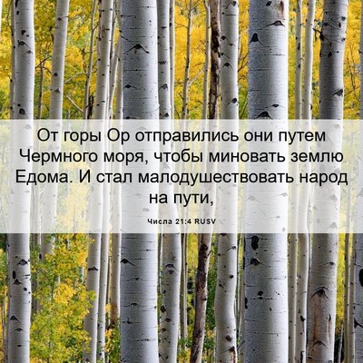 Picture 06 - Числа 21:4 RUSV - От горы Ор отправились они - Bible Verse Picture