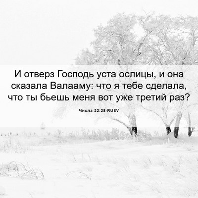 Picture 06 - Числа 22:28 RUSV - И отверз Господь уста - Bible Verse Picture