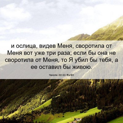 Picture 06 - Числа 22:33 RUSV - и ослица, видев Меня, - Bible Verse Picture