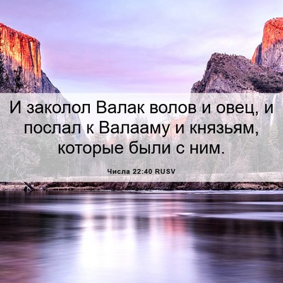 Picture 06 - Числа 22:40 RUSV - И заколол Валак волов и - Bible Verse Picture
