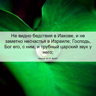 Picture 06 - Числа 23:21 RUSV - Не видно бедствия в Иакове, - Bible Verse Picture
