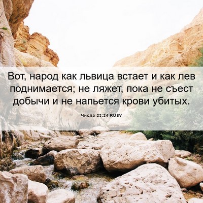 Picture 06 - Числа 23:24 RUSV - Вот, народ как львица - Bible Verse Picture
