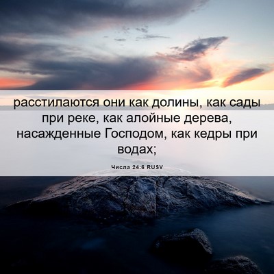 Picture 06 - Числа 24:6 RUSV - расстилаются они как - Bible Verse Picture