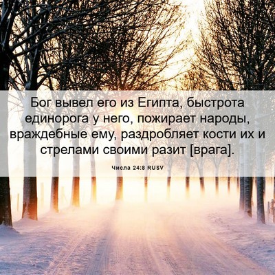 Picture 06 - Числа 24:8 RUSV - Бог вывел его из Египта, - Bible Verse Picture