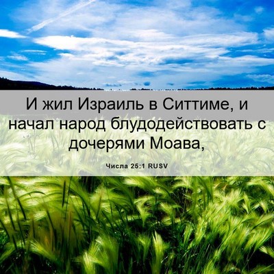 Picture 06 - Числа 25:1 RUSV - И жил Израиль в Ситтиме, и - Bible Verse Picture