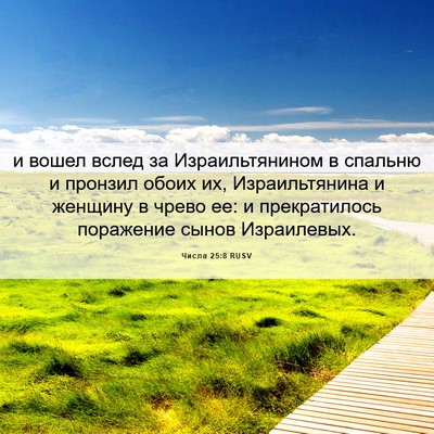 Picture 06 - Числа 25:8 RUSV - и вошел вслед за - Bible Verse Picture