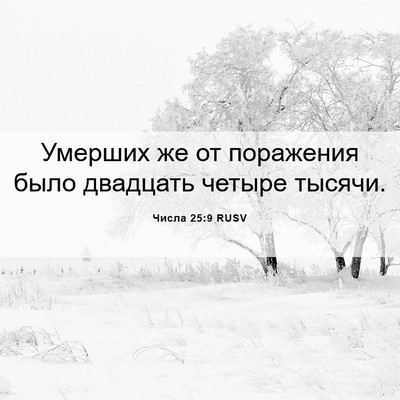 Picture 06 - Числа 25:9 RUSV - Умерших же от поражения - Bible Verse Picture