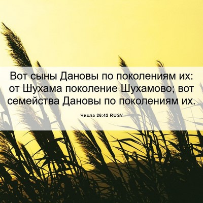 Picture 06 - Числа 26:42 RUSV - Вот сыны Дановы по - Bible Verse Picture