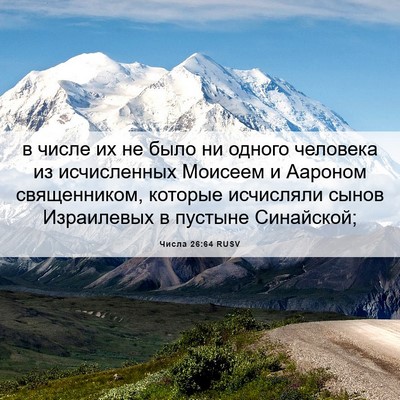 Picture 06 - Числа 26:64 RUSV - в числе их не было ни - Bible Verse Picture