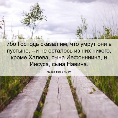 Picture 06 - Числа 26:65 RUSV - ибо Господь сказал им, что - Bible Verse Picture