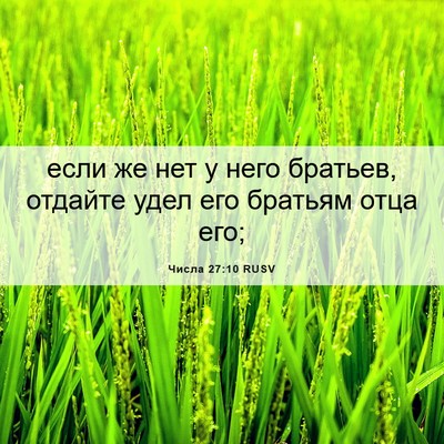 Picture 06 - Числа 27:10 RUSV - если же нет у него братьев, - Bible Verse Picture