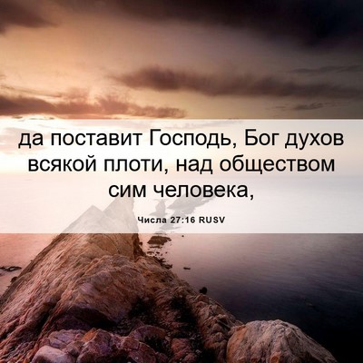 Picture 06 - Числа 27:16 RUSV - да поставит Господь, Бог - Bible Verse Picture