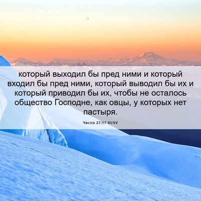 Picture 06 - Числа 27:17 RUSV - который выходил бы пред - Bible Verse Picture