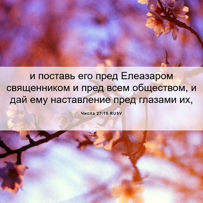 Picture 06 - Числа 27:19 RUSV - и поставь его пред - Bible Verse Picture