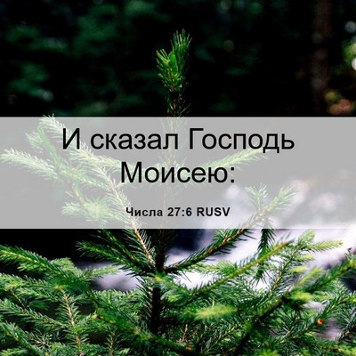 Picture 06 - Числа 27:6 RUSV - И сказал Господь - Bible Verse Picture