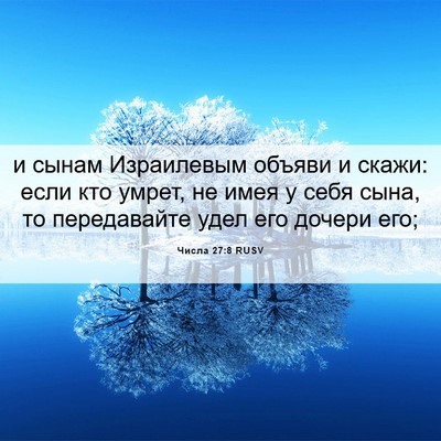 Picture 06 - Числа 27:8 RUSV - и сынам Израилевым объяви - Bible Verse Picture