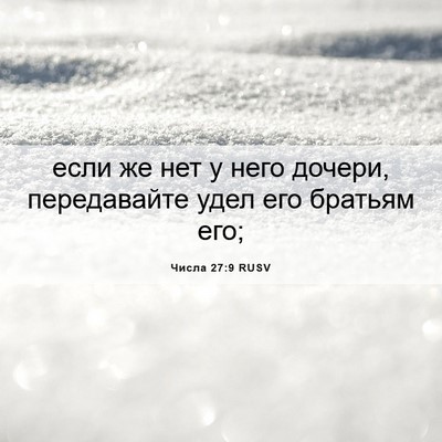 Picture 06 - Числа 27:9 RUSV - если же нет у него дочери, - Bible Verse Picture