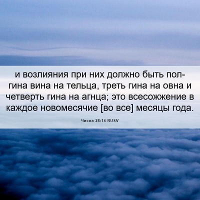 Picture 06 - Числа 28:14 RUSV - и возлияния при них должно - Bible Verse Picture