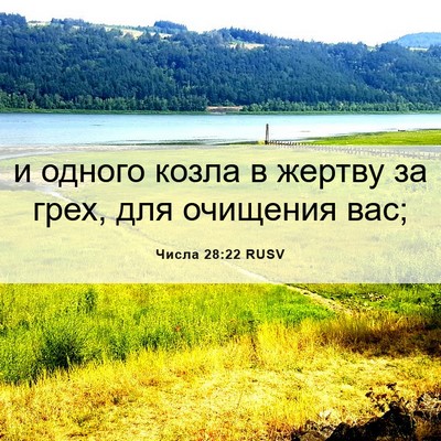 Picture 06 - Числа 28:22 RUSV - и одного козла в жертву за - Bible Verse Picture