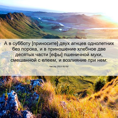 Picture 06 - Числа 28:9 RUSV - А в субботу [приносите] - Bible Verse Picture