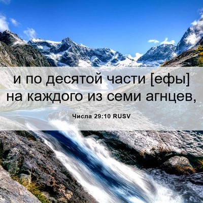 Picture 06 - Числа 29:10 RUSV - и по десятой части [ефы] на - Bible Verse Picture