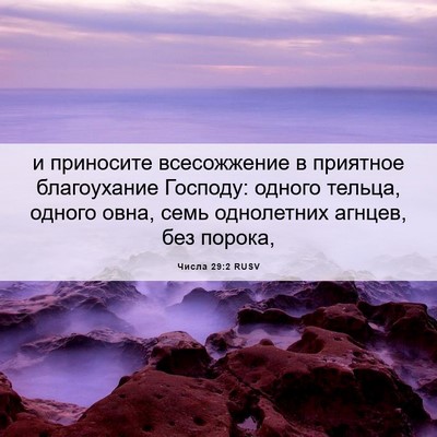 Picture 06 - Числа 29:2 RUSV - и приносите всесожжение в - Bible Verse Picture